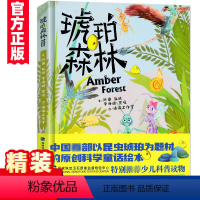 [正版]琥珀森林 精装硬皮陈睿6-12岁儿童科普百科小学生课外阅读书籍精美插图以昆虫琥珀为题原创科学童话绘本少儿科普读