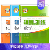 数学+物理+化学 九年级(全一册)3本 初中通用 [正版]新思路辅导与训练六年级上数学七年级八年级下物理九年级化学 6
