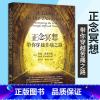[正版]正念冥想带你穿越苦痛之路 美杰克康菲尔德著成功励志图书心灵与修养心灵感悟家校沟通大学生课外阅读大学生活心理健康