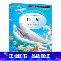 [正版]白鲸书小学生三四五六年级必读课外书籍寒假阅读青少年经典读物9-15岁儿童文学世界名著原著完整版故事图书