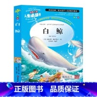 [正版]白鲸书小学生三四五六年级必读课外书籍寒假阅读青少年经典读物9-15岁儿童文学世界名著原著完整版故事图书