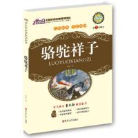 正版新书]骆驼祥子老舍 王显才 黄宝国9787560148274
