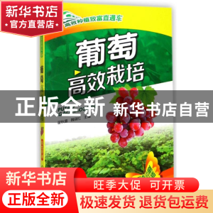 正版 葡萄高效栽培 翟秋喜 机械工业出版社 9787111474784 书籍