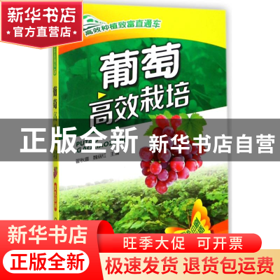 正版 葡萄高效栽培 翟秋喜 机械工业出版社 9787111474784 书籍