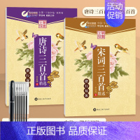 楷行双体-[唐诗三百首+宋词三百首/2本装] 送练字7件套 [正版]楷书字帖练字成年大学生正楷字帖行书行楷女生字体大气漂
