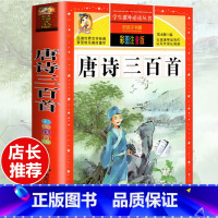 [选3本29.8元]唐诗三百首 [正版]格林童话全集安徒生童话注音版 伊索寓言一千零一夜一二三年级1-3小学生上册阅读课