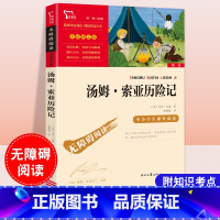 [六年级下册]汤姆索亚历险记 [正版]童年六年级必读课外书快乐读书吧小英雄雨来爱的教育全套原著小学生阅读课外书儿童文学故