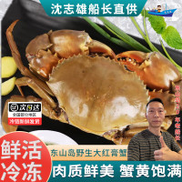 [国产][活鲜]沈志雄船长 东山岛海鲜鲜活海捕特大红膏蟹红鲟青螃蟹包活 1只净重 450g 火锅海鲜礼盒年货