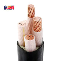 常顺鑫 低压铜芯电缆ZC-YJV3×50+1×25 米