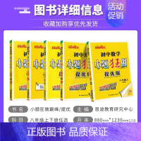 九年级下 [提优]化学-人教版 [正版]2024秋季初中必刷小题狂做七八九年级上下册语文数学英语物理化学提优巅峰版初一二