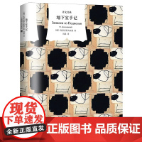 地下室手记 译文经典 [俄]陀思妥耶夫斯基 著 刘晨 译 心理学典范 陀氏思想经典之作 地下室人形象 复杂人性
