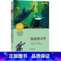 [正版]海底两万里书原著北京少年儿童出版社凡尔纳著世界文学名著外国小说儿童故事书常熟考级书目小学生版三年级寒假必读课外