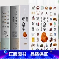 [正版]3册 新编说文解字+历史文化常识全知道+不可不知的3000个文化常识书籍 国学经典诵读画说汉字 汉字真好玩汉字