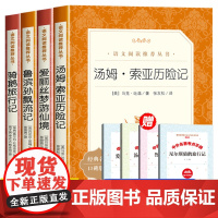 [赠考点]六年级下册必读课外书快乐读书吧人民文学出版社汤姆索亚历险记鲁滨孙漂流记鲁滨逊骑鹅旅行记原著正版爱丽丝梦游仙境