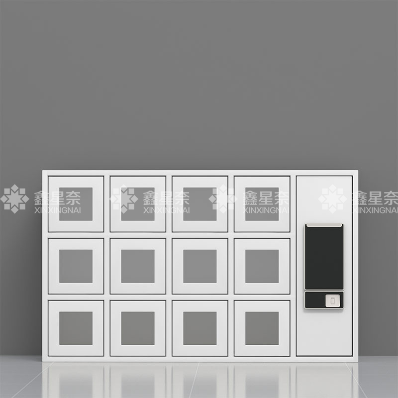 鑫星奈XXN4031510 智能手机柜充电柜手机设备寄存柜 12门