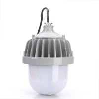 熠飞(EEEFEI) 防水防尘灯 防眩平台泛光灯 EF8102 50W