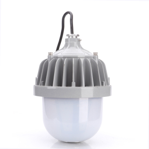 熠飞(EEEFEI) 防水防尘灯 防眩平台泛光灯 EF8102 50W