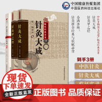 针灸大成杨继洲黄帝针灸甲乙经三部针经晋皇甫谧人纪配合教材入门倪师海厦基础理论灸法诊疗疾病治法春满杏林针灸推拿经典歌赋必背