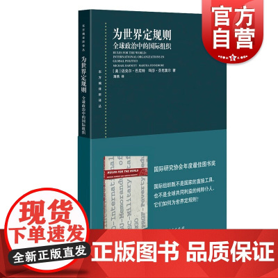 为世界定规则 全球政治中的国际组织东方编译所译丛迈克尔巴尼特马莎芬尼莫尔著社会学上海人民出版社世界政治经济学外交国际关系