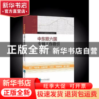 正版 中东欧六国专利工作指引 北京市知识产权局组织编写 知识产
