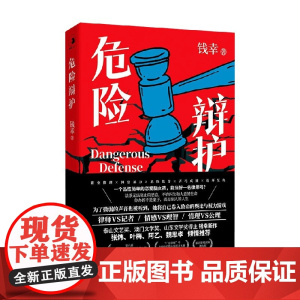 危险辩护 钱幸 著 小说