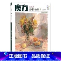 [正版]2019 魔方静物色调2魔方文化美院篇色彩静物基础杭州国美