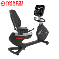 扬子(YANGZI)高端卧式健身车YZ-EB8800