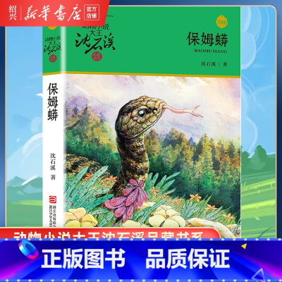 [正版]书店保姆蟒 升级版 动物小说大王沈石溪品藏书系 小学三四五六年级课外阅读书籍动物小说 浙江少年儿童出版社