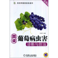 [M]图说葡萄病虫害诊断与防治-9787111465171
