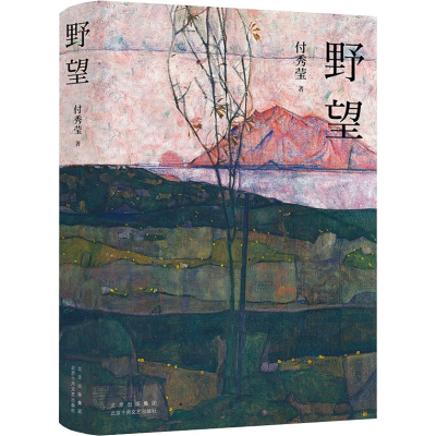 正版新书]野望付秀莹9787530222195