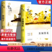全5册[青铜葵花+草房子+小英雄雨来+宝葫芦的秘密+细菌世界历险记] [正版]青铜葵花曹文轩原著完整版全套5册草房子四年