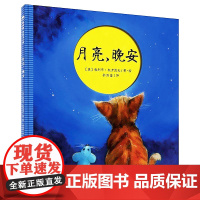 月亮 晚安 精装硬壳绘本 魔法象图画书王国系列 亲子儿童幼儿园绘本0-3-6岁童书洞洞书 广西师范大学出版社