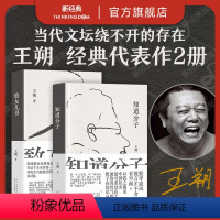 [正版]王朔代表作 知道分子 + 致女儿书 2023新版2册套装 起初纪年竹书绝地天通 文学散文小说 精装 新经典图书
