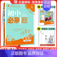 [人教版]化学 九年级下 [正版]2025版初中九年级上册下册化学人教版 初三中考九9年级上册化学rj版同步练习册题库试