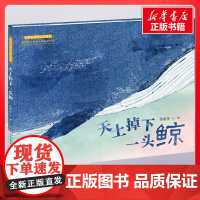 天上掉下一头鲸 西雨客著 儿童文学小学生课外阅读书籍正版6-7-8-9-10岁一年级二年级三年级四年级寒暑假课外书知识拓