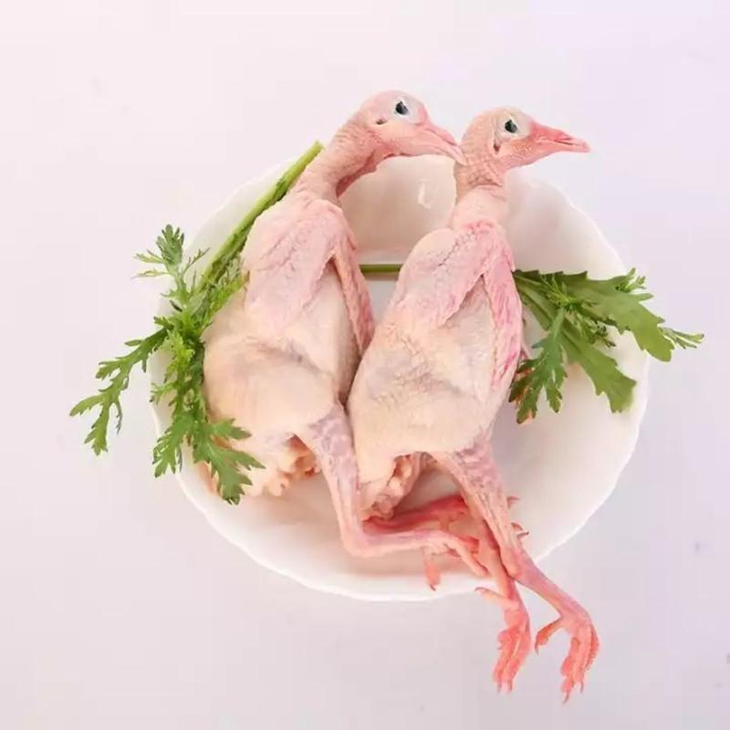 养孕产妇补气生血土鸽子新鲜批发 现杀抽真空加冰块乳鸽三只单只400克