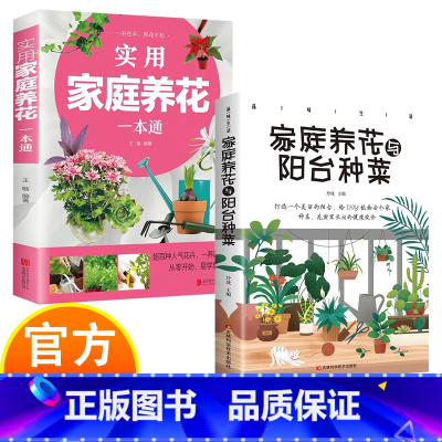 实用家庭养花+家庭养花与阳台种菜 [正版]实用家庭养花阳台种菜一本通 彩图详解 花卉养护知识 鲜花品种介绍养护知识书 养
