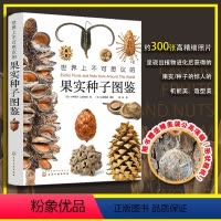 [正版]世界上不可思议的果实种子图鉴 赠蒲公英项链 300果实种子功能精美造型视觉图鉴 中小学生青少年课外阅读自然课外