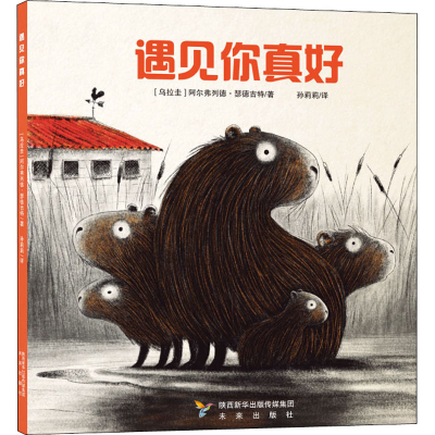 [M]遇见你真好-9787541771279