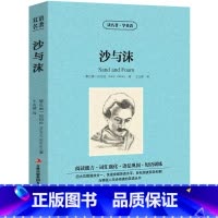 [正版]中英双语沙与沫书中英文双语名著读物英汉对照互译英语小说 纪伯伦原著 读名著学英语 高中生初中生课外阅读书籍zy