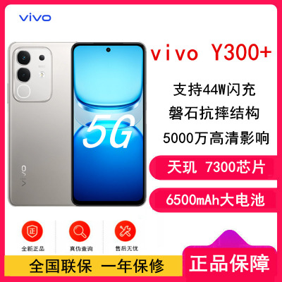 [全新]vivo Y300+ 钛色 12GB+256GB 天玑7300 5G芯 6500mAh电池 44W充电 5000万高清影像 5G 手机 Y300