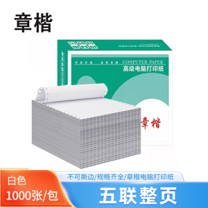 章楷 财务报表纸针式电脑打印纸381-5 不撕边 全白 1000页/箱