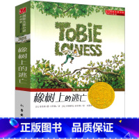 橡树上的逃亡 [正版]橡树上的逃亡书新蕾出版社小学生二年级三年级四年级五年级课外书国际大奖小说历险记小说童文学成长阅读书