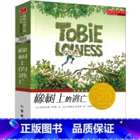 橡树上的逃亡 [正版]橡树上的逃亡书新蕾出版社小学生二年级三年级四年级五年级课外书国际大奖小说历险记小说童文学成长阅读书