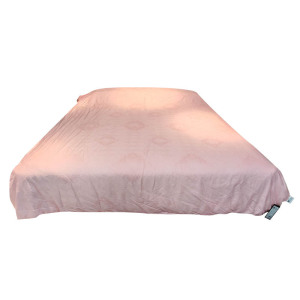 比韩(BIHAN)蚕丝被四季被定制CB-1021 1500*2000 床