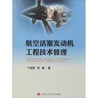 音像航空活塞发动机工程技术管理丁发军