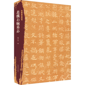 正版新书]北朝墓志精选 北魏石婉墓志杨开伟 编9787540165284