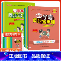 语文-人教版 五年级上 [正版]2023新版PASS绿卡学霸同步写字课一二三四五六年级上下册字帖人教版沪牛版任选 小学同