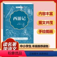 西游记(珍藏版) [正版]四大名著全套小学生版原著必读小学初中阅读课外书西游记三国演义水浒传红楼梦朝花夕拾昆虫记海底两万
