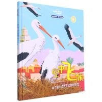 [N]空中飞侠(城市里的野生动物朋友)(精)/孤独星球童书系列-9787544871082